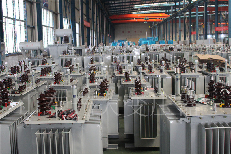 郾城S22-800KVA/10KV